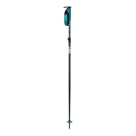 Line Paintbrush Poles 2024
