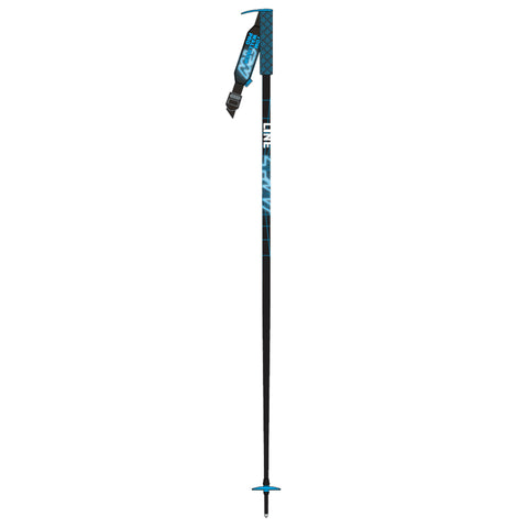 LINE WALLISCH STICK POLES 2023