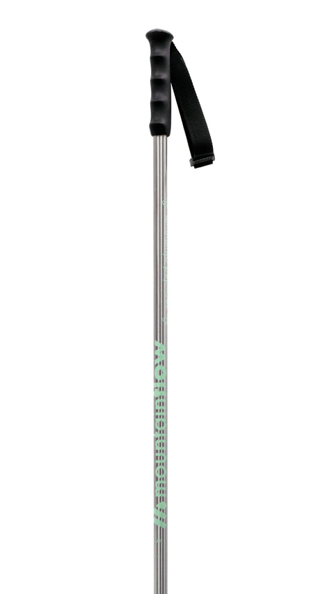 mountainFLOW Ski Pole - RE.7
