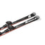 Nordica Dobermann Multigara DC FDT Skis 2026