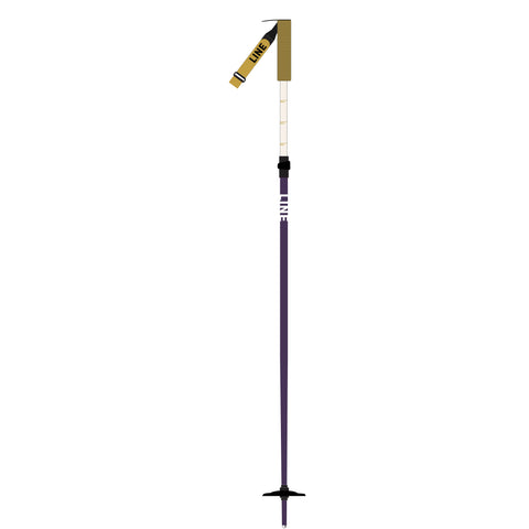 Line Paintbrush Poles 2026