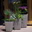 Maze Cotswold Triple Planter Set