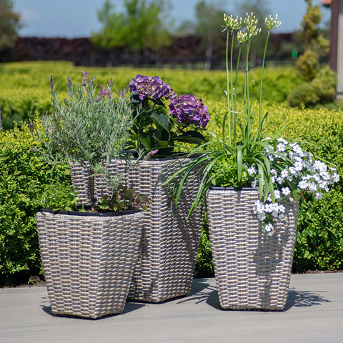 Maze Cotswold Triple Planter Set