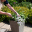 Maze Cotswold Triple Planter Set