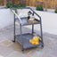 Maze Aluminium 2-tier Trolley