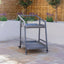 Maze Aluminium 2-tier Trolley