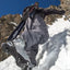 K2 - K2000 AT130 BOA Ski Boots - 2026