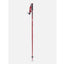 Line Wallischtick Poles 2025