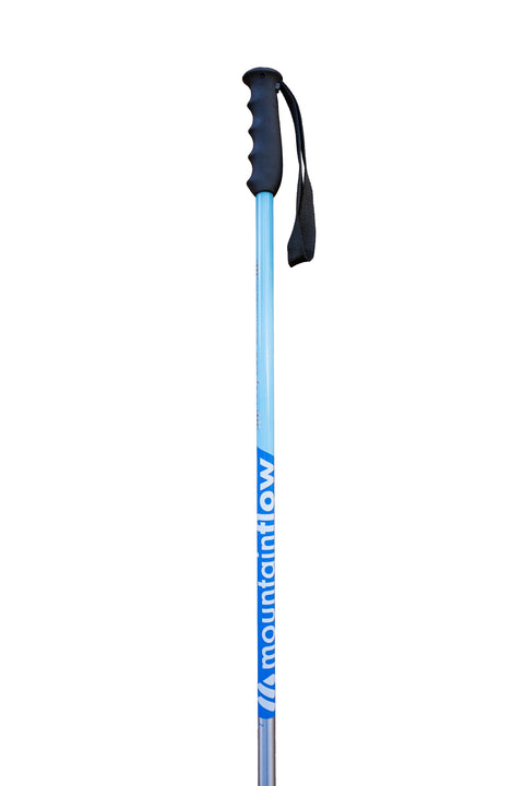 Ski Pole - RE.7+